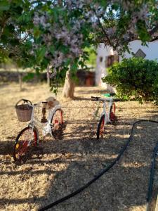 two bikes parked next to each other on the ground at Hakuna Matata in Skala Eresou