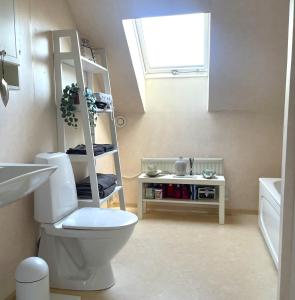 a bathroom with a white toilet and a skylight at Villa Åhus nearby The Beach in Åhus +8 photos