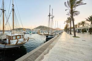 Příroda nedaleko apartmánu