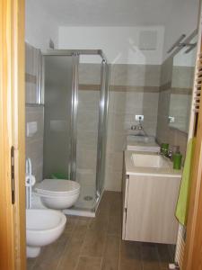 a bathroom with a shower and a toilet and a sink at Les Racines in Rhêmes-Notre-Dame