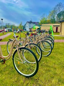 een rij fietsen geparkeerd in het gras bij Ośrodek rodzinny "Pod Wydmami" PRZY PLAŻY , PLAC ZABAW , ROWERY in Sarbinowo