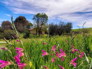 Agriturismo La Sorgente外面的花园