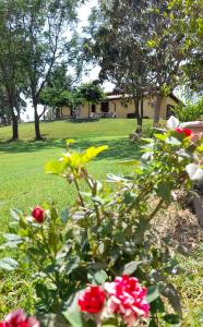 Agriturismo La Sorgente外面的花园