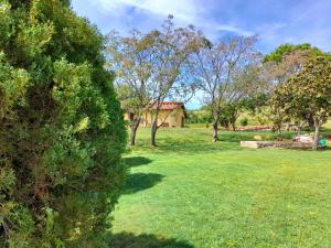 Agriturismo La Sorgente外面的花园