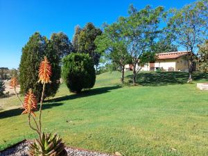 Agriturismo La Sorgente外面的花园