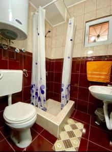 a bathroom with a toilet and a sink at Villa Đuričić 200m od mora in Đenovići +9 photos