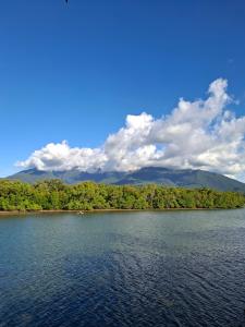a large body of water with trees in the background at Magdiwang Nature's View Lodge in Magdiwang +23 photos
