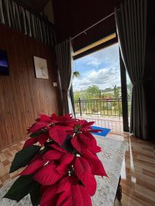 a bunch of red flowers sitting on a table at 28 Homestay in Xuan An +13 photos