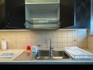 eine Küche mit Spüle und Arbeitsplatte in der Unterkunft Große Ferienwohnung mit Traumküche I 24 h Check in I Free Parking in Bielefeld