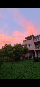 a building with trees in a field with a sunset at Casa M 1 in Donja Lastva +3 photos