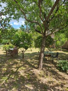 a picnic table and chairs under a tree in a park at Casa M 1 in Donja Lastva