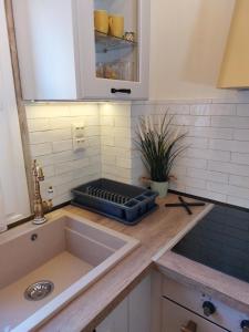 a kitchen counter with a tray on top of a sink at Iliaxtida Apartment in Agia Paraskevi +23 photos