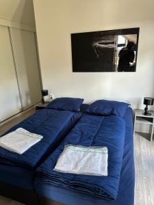 a bedroom with a blue bed with blue pillows at Marina Strandbad Chalet IJsselNest Haus Nr 416 in Olburgen