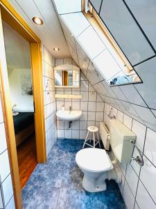 a bathroom with a toilet and a sink and a skylight at Ferienhaus Norddeichkieker - Büsum in Norddeich +50 photos