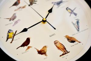 a clock with a bunch of birds on it at Charming 2 Bedroom Flat in the Heart of Kirriemuir in Kirriemuir