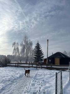 Yary Yurt v zime