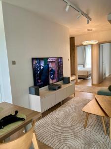 Televisyen dan/atau pusat hiburan di Apartament -Luksus- Nowa Dzielnica