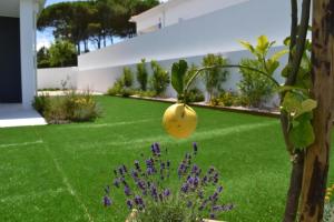 a garden with a lemon hanging from a plant at Casa Perola De Prata in Famalicão