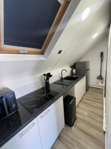 Kuchyň nebo kuchyňský kout v ubytování coccon 7