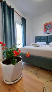 Amarildo Hotel客房内的一张或多张床位