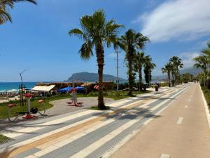 a street with palm trees on the side of a beach at SA Apartments! Beachfront Apartments in Oba in Alanya