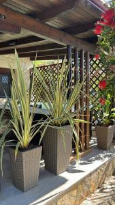 Vonkajšia záhrada v ubytovaní Palma Beach House