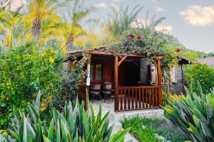 Zahrada ubytování Azur Hotel + 37 fotografií