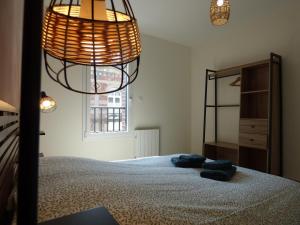 a bedroom with a bed and a chandelier at Le Jules Verne, appartement en plein centre-ville in Le Crotoy
