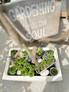 Gallery image of Apartments Mia Patria in Ulcinj