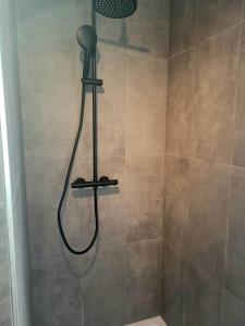 a shower with a shower head in a bathroom at Moderne Ferienwohnung in der Altstadt in Eschwege +9 photos