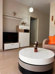 مطبخ أو مطبخ صغير في Apartment Gjiri i Lalzit