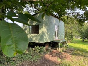 an old green house sitting in a field at Le cottage du Manoir 1900 in La Ferté-Gaucher
