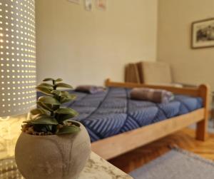 弗尔尼亚奇卡矿泉镇Apartmani Central Vrnjačka Banja Šetalište的卧室里有一张床，桌子上放着一盆盆栽