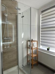 a bathroom with a shower with a glass door at Apartment Gray Z2 in Erfurt +4 photos