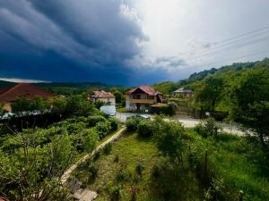 an overhead view of a house with a garden at Cabana Livada Merilor in Băile Govora