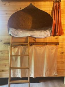 a bunk bed with a ladder in a room at Dortoir dans la nature in Chambonas +12 photos