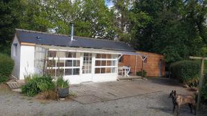 a dog standing in front of a house at Pink Granite Coast Cottage between forest and sea in Trélévern