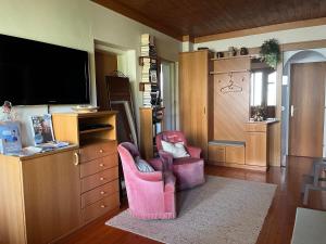 a living room with a pink chair and a tv at Appartement zum Grenzstein in Rattersdorf