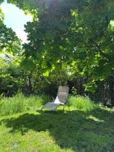 Ein Garten an der Unterkunft fuchsart like home