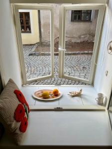 Foto dalla galleria di Apartmán Na bidýlku - On the Perch Apartment a Tábor