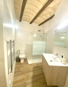 a bathroom with a sink and a toilet and a shower at Casa la luz in La Portellada