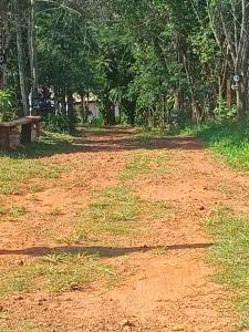 Foto de Camping Alexander