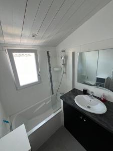 un bagno con lavandino, doccia e specchio di Charmante maison de Gros-Jonc a Le Bois-Plage-en-Ré