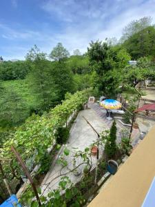 an overhead view of a garden with an umbrella at The Bondo's Villa in Kobuleti