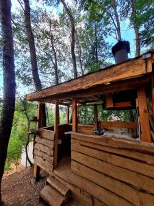a wooden cabin in the middle of a forest at Hermosa Cabaña Rústica Bosque Ámbar in Chillán +5 photos