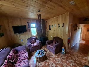 a living room with purple couches and a tv at Hermosa Cabaña Rústica Bosque Ámbar in Chillán