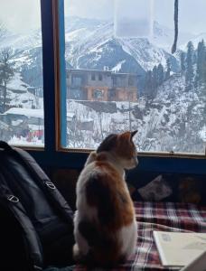 Κατοικίδιο ή κατοικίδια επισκεπτών που μένουν στο Nest&Rest