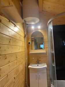 a bathroom with a sink and a mirror at 7 Seas in Wrzosowo