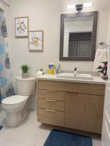 a bathroom with a toilet and a sink and a mirror at Luxury Suite in Bristol Riverview in Riverview