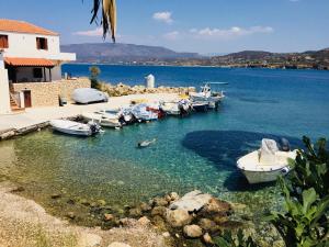 Naturlandskabet i nærheden af lejligheden